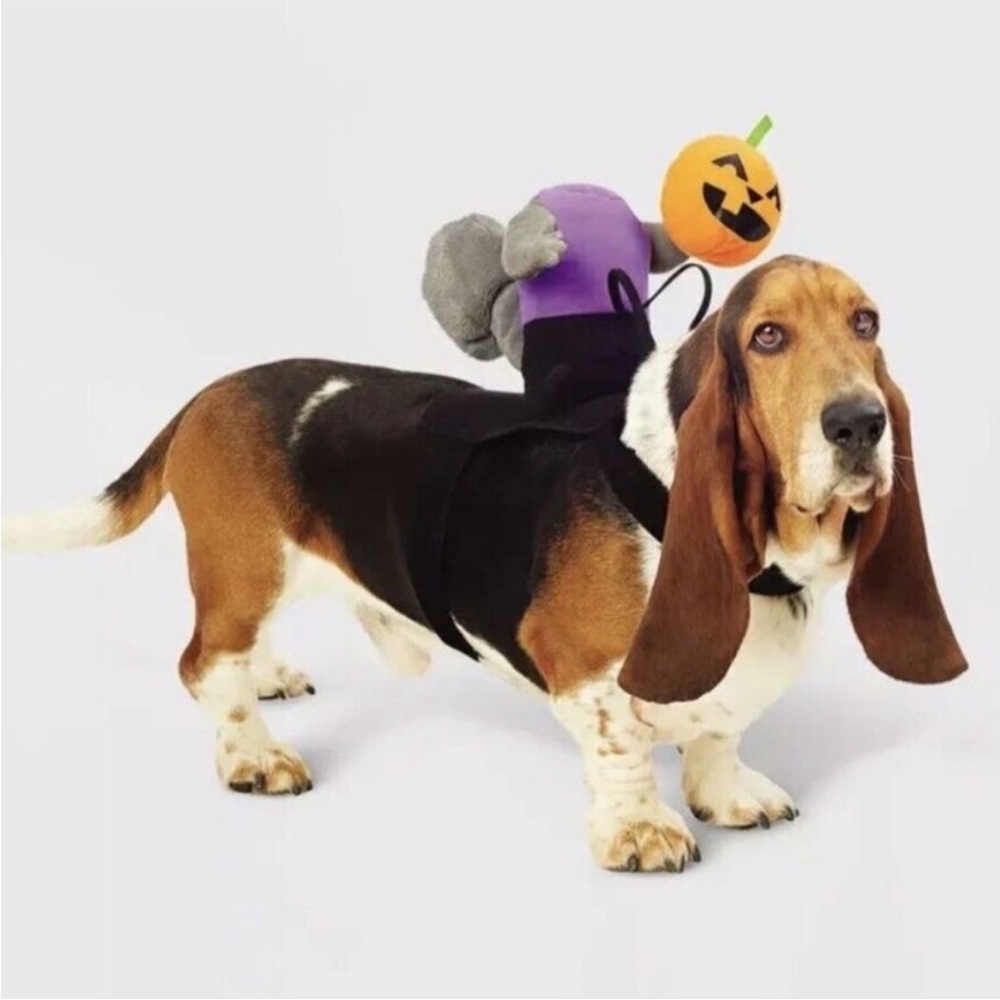 Headless Horseman Rider Dog Cat
Costume Halloween